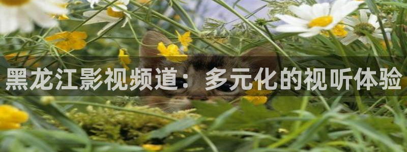 大地资源影视第二页