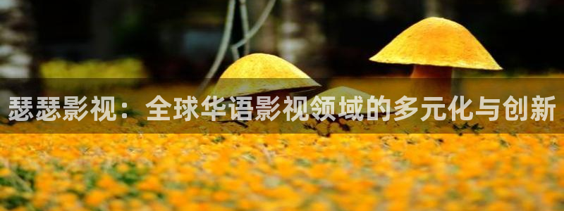 大地资源免费高清在线观看：瑟瑟影视：全球华语影视领域的多元化与创新