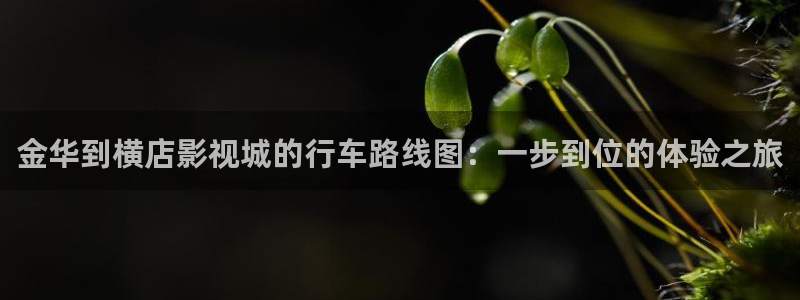 大地资源二中文高清在线看免费：金华到横店影视城的行车路线图：一步到位的体验之旅