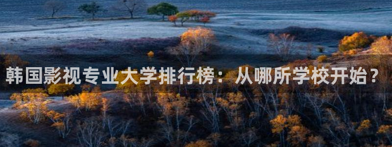 大地资源视频高清在线观看：韩国影视专业大学排行榜：从哪所学校开始？