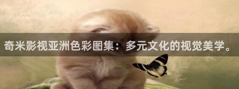 六安大地影院：奇米影视亚洲色彩图集：多元文化的视觉美学。