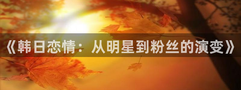 大地影院高清mv电影：《韩日恋情：从明星到粉丝的演变》