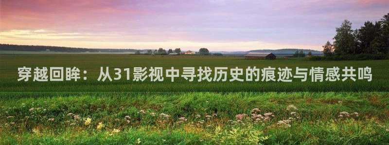 大地资源高清在线观看免费视频：穿越回眸：从31影视中寻找历史的痕迹与情感共鸣