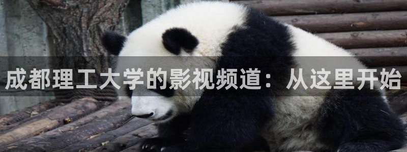 和尚的一场春天梦电影速度看大地