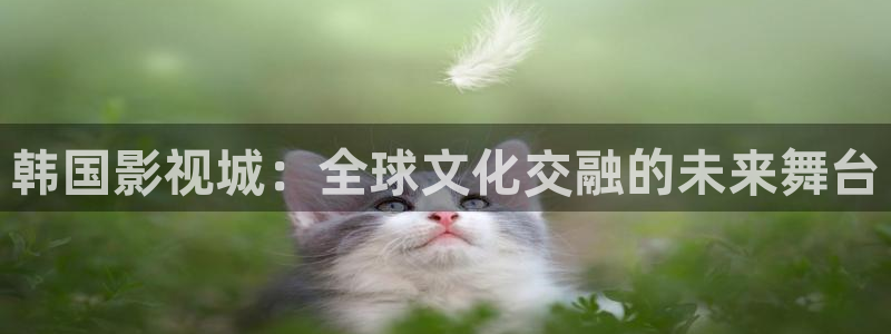 金堂大地影院今日放映表
