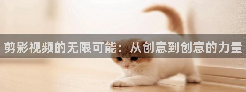 大地影视大全免费观看：剪影视频的无限可能：从创意到创意的力量