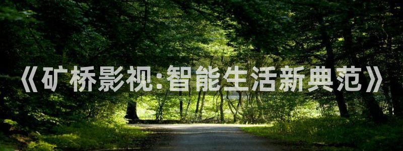 大地影院第二：《矿桥影视:智能生活新典范》