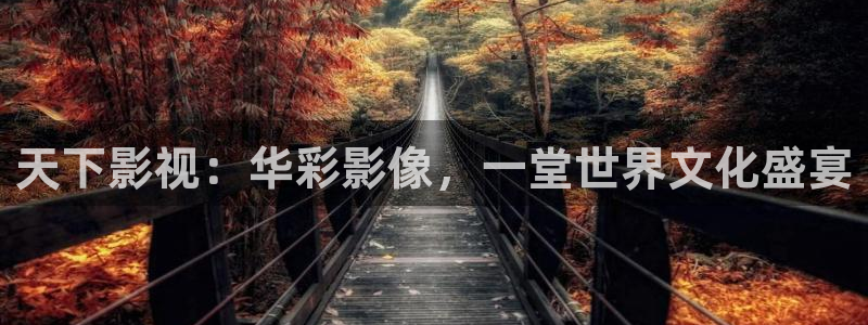 大地电影城：天下影视：华彩影像，一堂世界文化盛宴